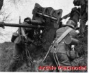 Pak 37