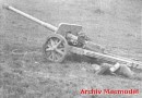 Pak 40