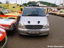 Mercedes Viano
