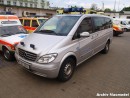 Mercedes Viano