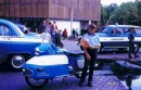 Jawa 350 - Nanuk