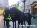 Policejn� vozy - auta m�stsk� policie Praha